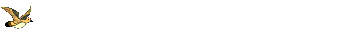 bird__flyingA.gif (14184 bytes)